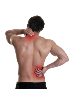The Physio Camberley | Physiotherapy, Sports injury Clinic, Sports Massage, Holistic Massage